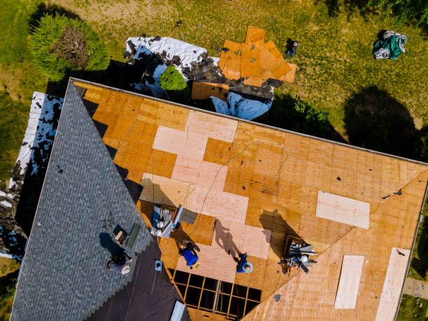 Best Local Roofing Companies  in Lowell, OR