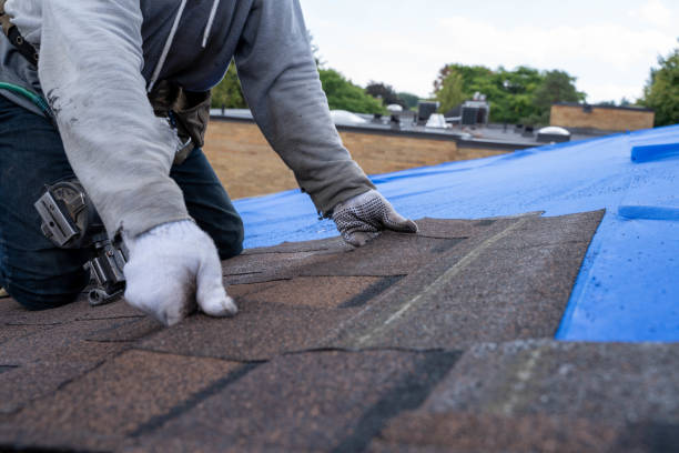 Best Metal Roofing Contractor  in Lowell, OR